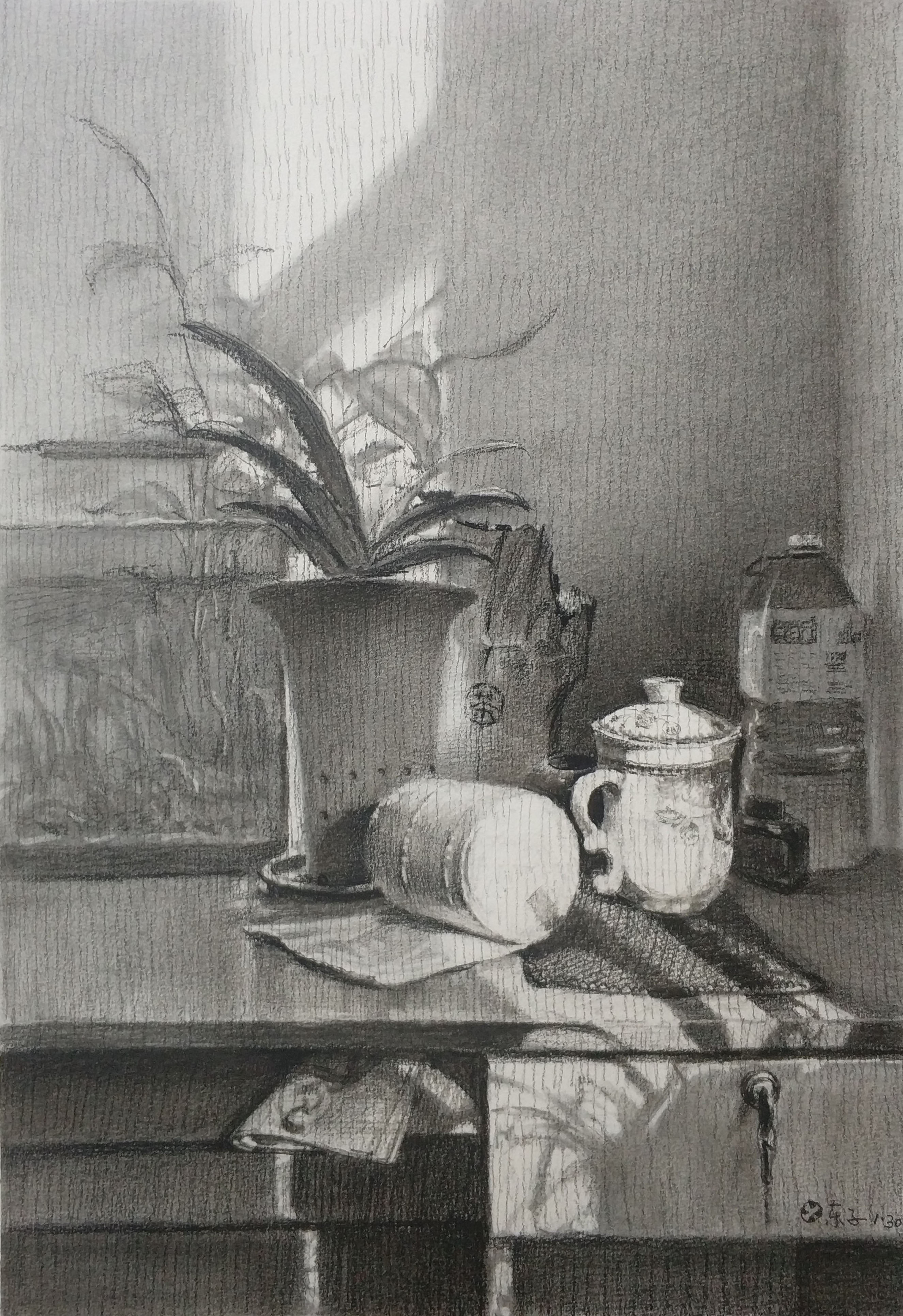 姜晓东老师素描静物作品赏析